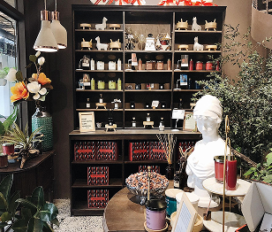 The Art of Discovery